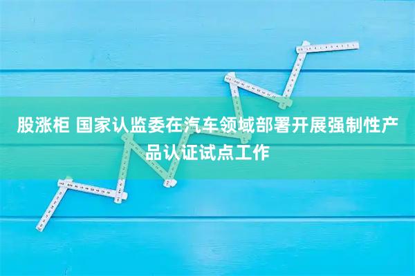 股涨柜 国家认监委在汽车领域部署开展强制性产品认证试点工作