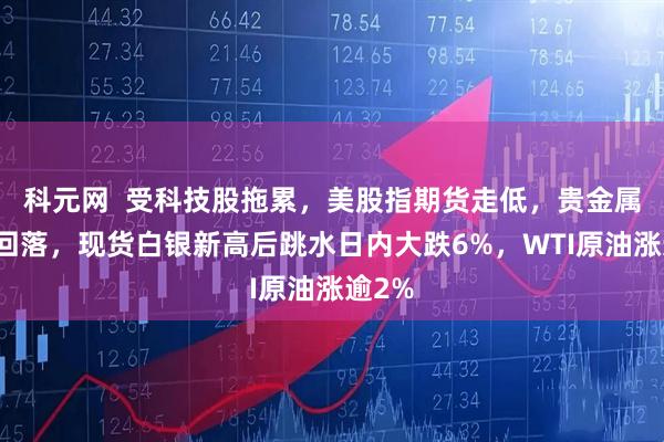科元网  受科技股拖累，美股指期货走低，贵金属全线回落，现货白银新高后跳水日内大跌6%，WTI原油涨逾2%