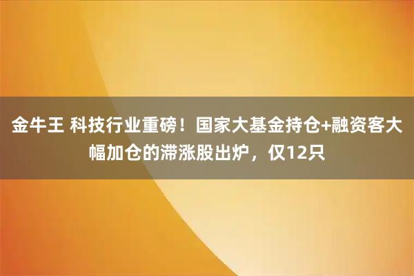 金牛王 科技行业重磅！国家大基金持仓+融资客大幅加仓的滞涨股出炉，仅12只