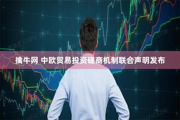 擒牛网 中欧贸易投资磋商机制联合声明发布